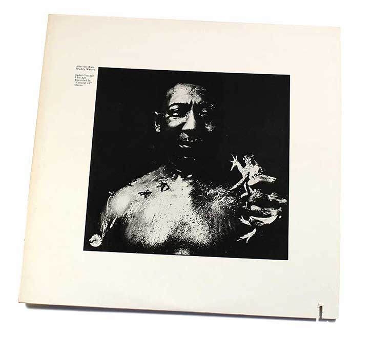 Muddy Waters / After The Rain