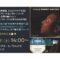 ブルース＆ソウル・レコーズ共同企画イベント開催　なぜ、今ブルースなのか？すべてはここから始まった「ブルース120年の歩みを知る」第六回開催